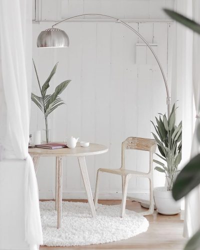 plant-4243898_1280